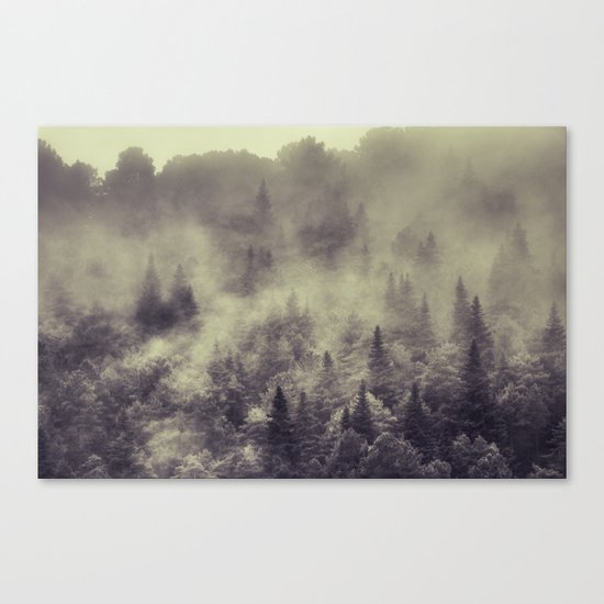 "Into the woods" Love the forests Canvas Print