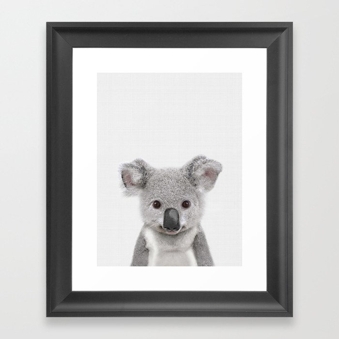 Koala Print Australian Baby Animal Nursery Wall Art Kaboo Koala Print Australian Baby Animal