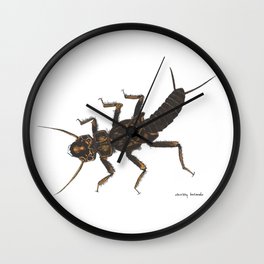 Stonefly Nymph (In-Color) Wall Clock