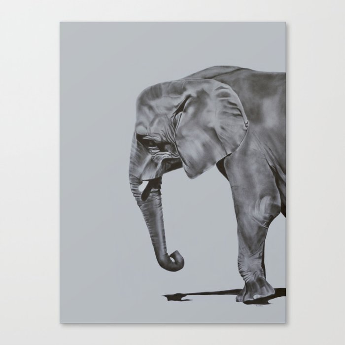 Ivory Elephant Painting In Black White Canvas Print By