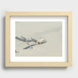 Wildlife on the beach Recessed Framed Print