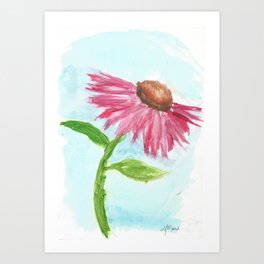 Echinacea Art Print