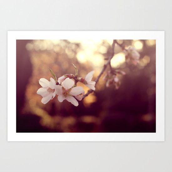 Dreams* Art Print