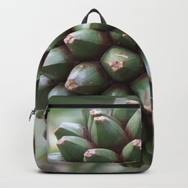 Pandan Backpack