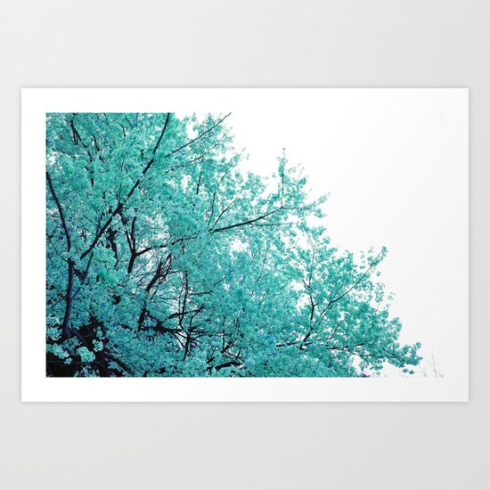 Turquoise Cherry Blossoms Art Print