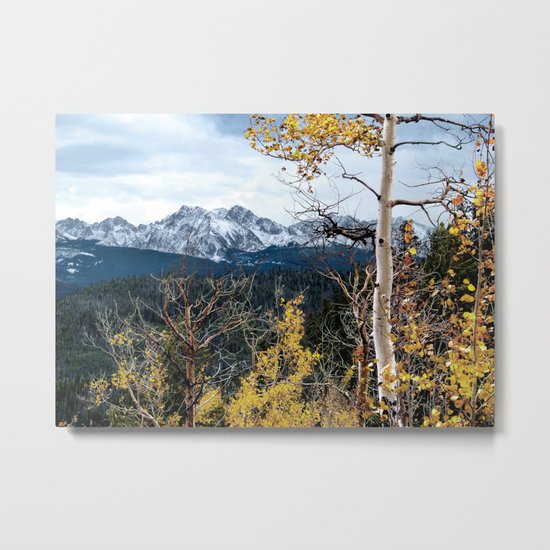 Existing Metal Print