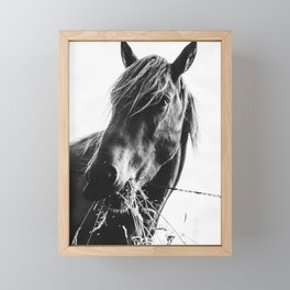 Horse Black and White Framed Mini Art Print