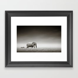 Elephant with zebra Framed Art Print