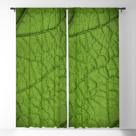 Macro Green Leaf 9 Blackout Curtain By Bonidog