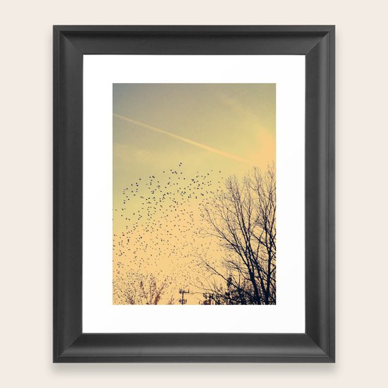 Fly Framed Art Print
