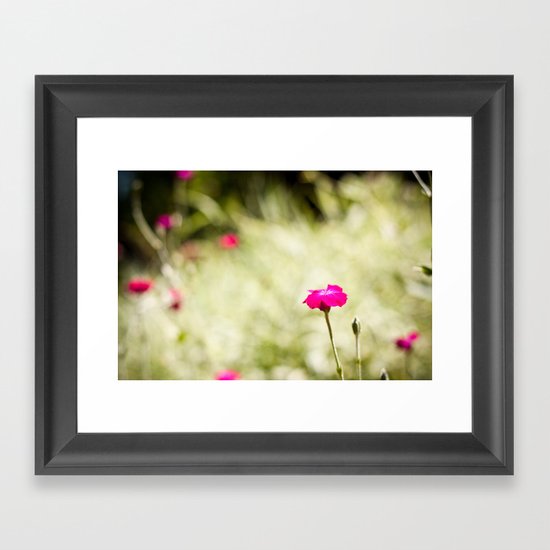 Pink Framed Art Print