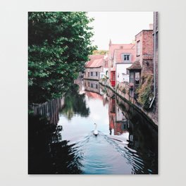 Swan in Belgium Canvas Print