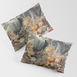 Ocean Life by James M Sommerville 1859 Funky Quirky Cute Cozy Boho Maximalism Maximalist Pillow Sham