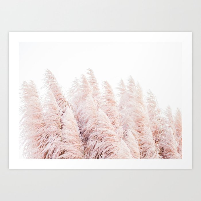 Pink Pampas Grass Art Print