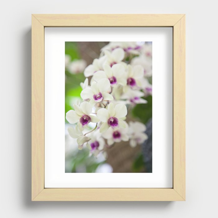 Orchids Recessed Framed Print