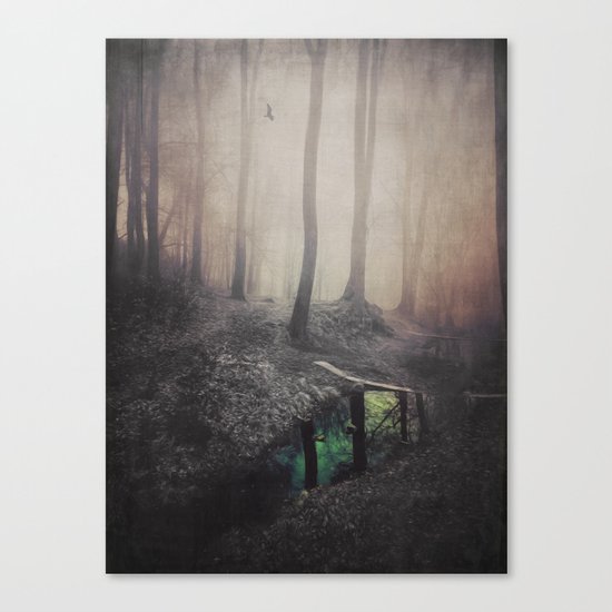 Green Creek - Eye of the Forest Canvas Print