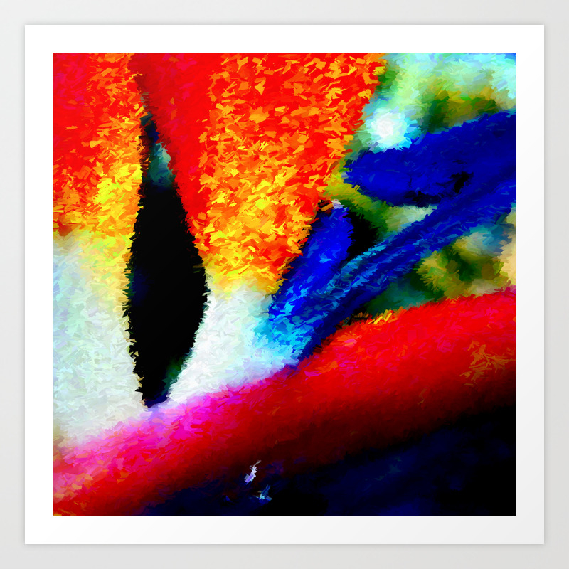 Bird Of Paradise Abstract Art Print By Danaroper Society6