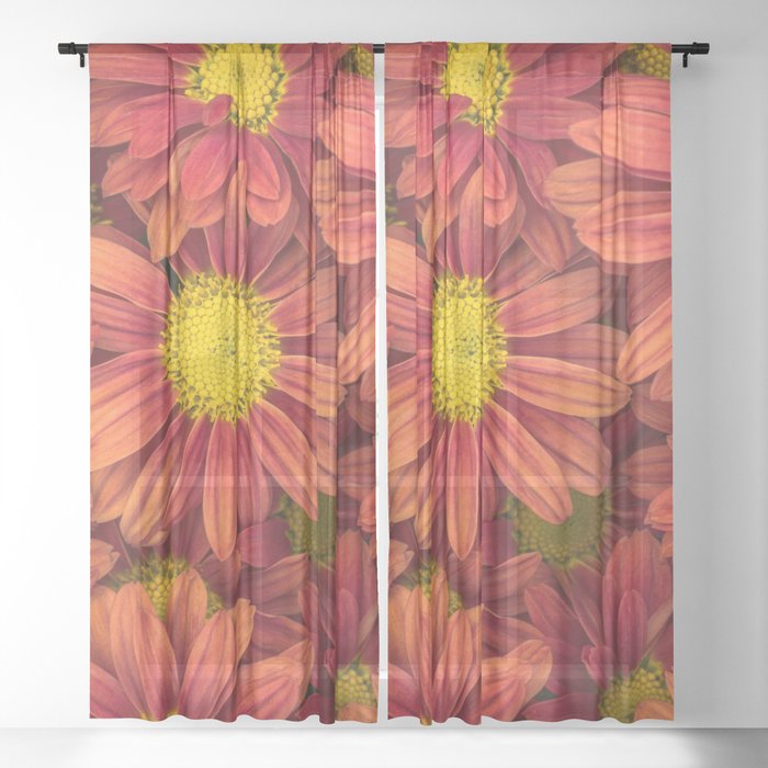 Red Flower Sheer Curtain