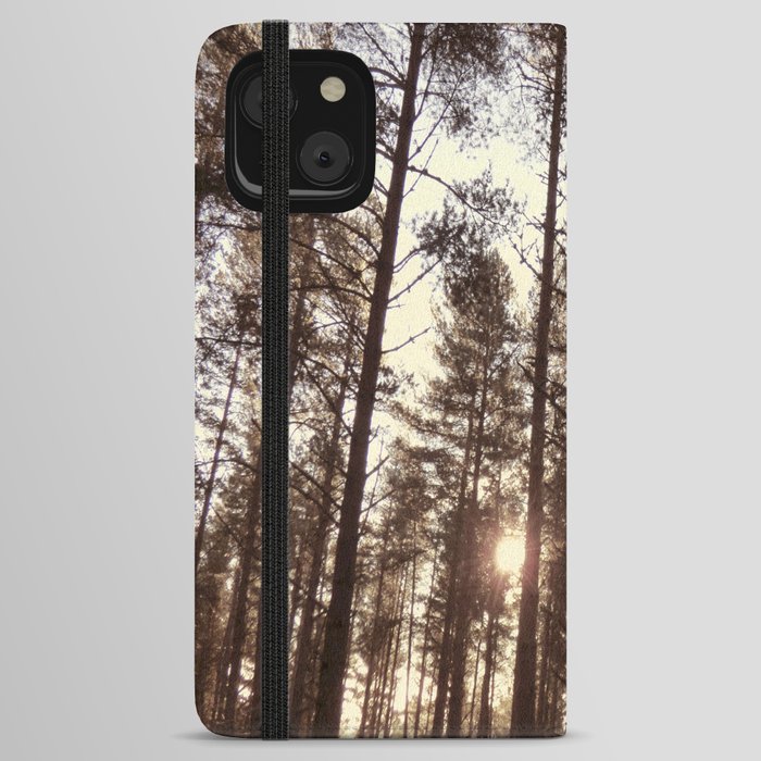 Pine Tree Canopy with Winter Sun in Old  iPhone Wallet Case