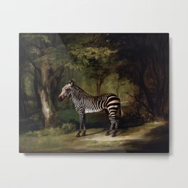 George Stubbs - Zebra Metal Print | Oiloncanvas, Animal, Nature, Oil, Canvas, Georgestubbs, Wildlife, Painting, Zebra 