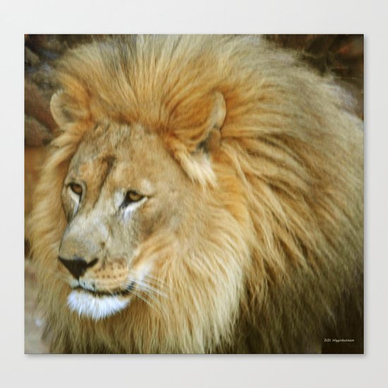 Poof Do Canvas Print