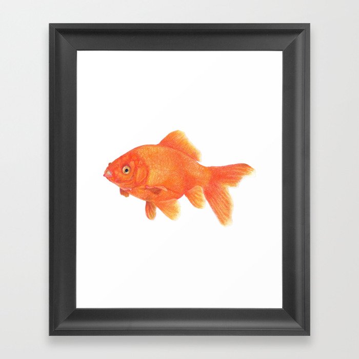 Gold Fish Framed Art Print