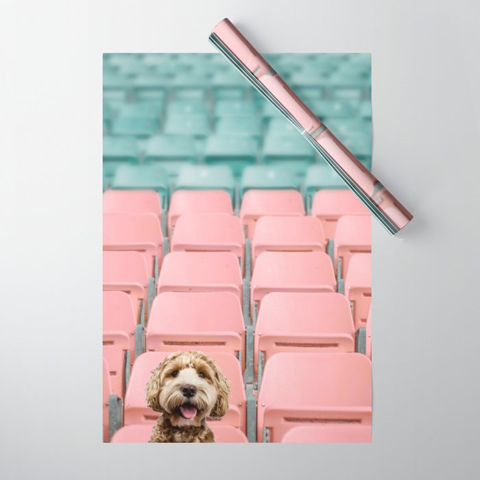 Labradoodle Sitting in Stadium Wrapping Paper