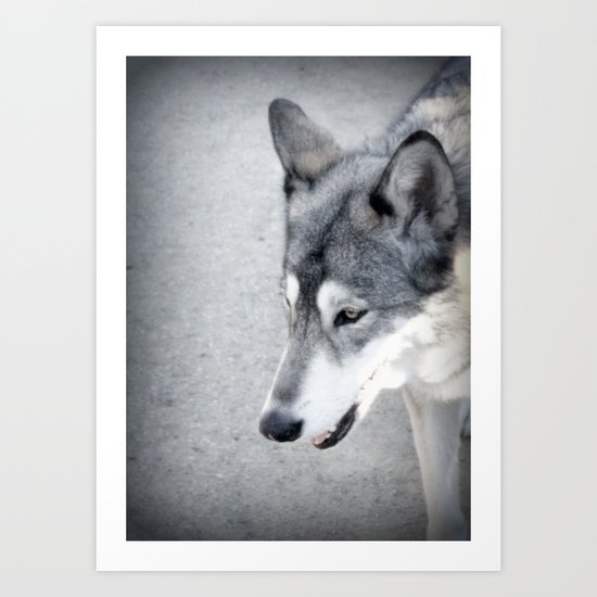 wolf Art Print