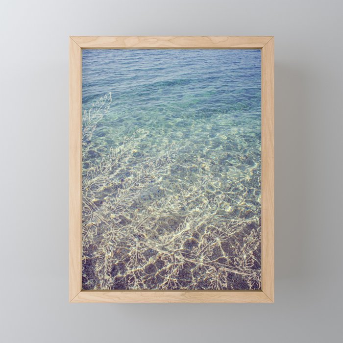 seaplant Framed Mini Art Print