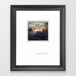 California Coast I -- Beach find caught in a photo! Perfect dreamy seaside memory for your wall :-) Framed Art Print