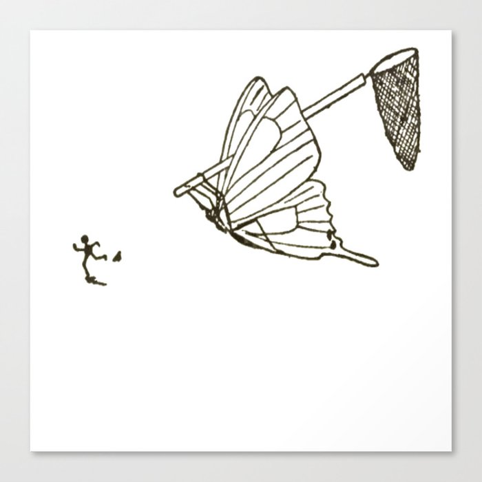 Butterfly Metamorphosis Canvas Print