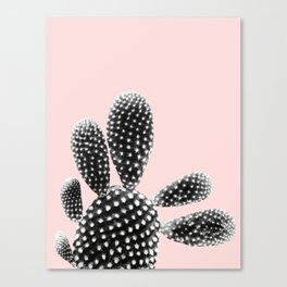 Black Blush Cactus Dream #1 #plant #decor #art #society6 Canvas Print