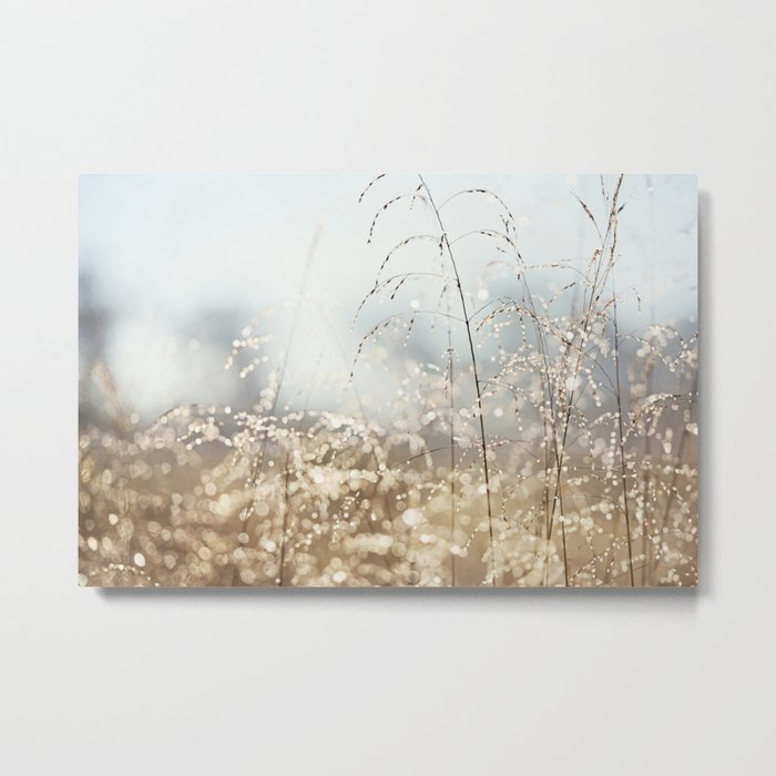 Gold Blue Sparkle Nature Photography, Dew Drop Grass Brown, Morning Water Dewdrops, Magical Bokeh Metal Print