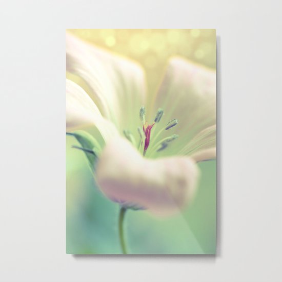 Pale Rapture Metal Print