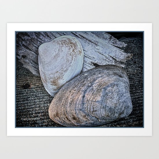 Driftwood and Sea Shells Art Print