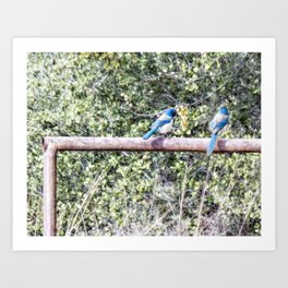 Bluebird Buddies Art Print
