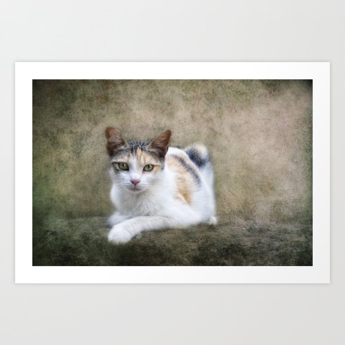 kitty cat Art Print