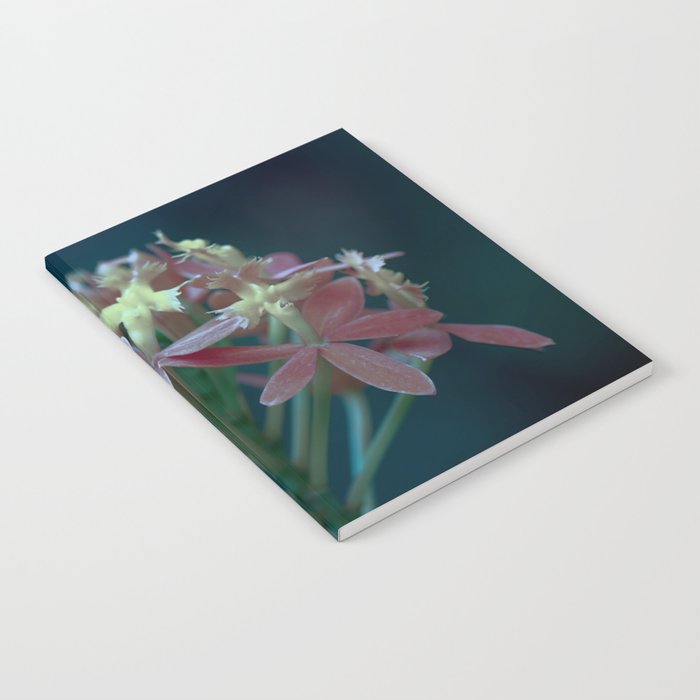 Moody Vibe With Blue Tint Orchid Flower Notebook