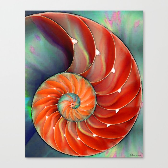 Nautilus Shell - Nature's Perfection by Sharon Cummings Canvas Print