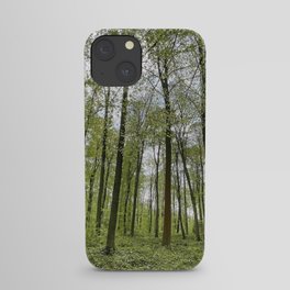 Springtime Beech Forest iPhone Case