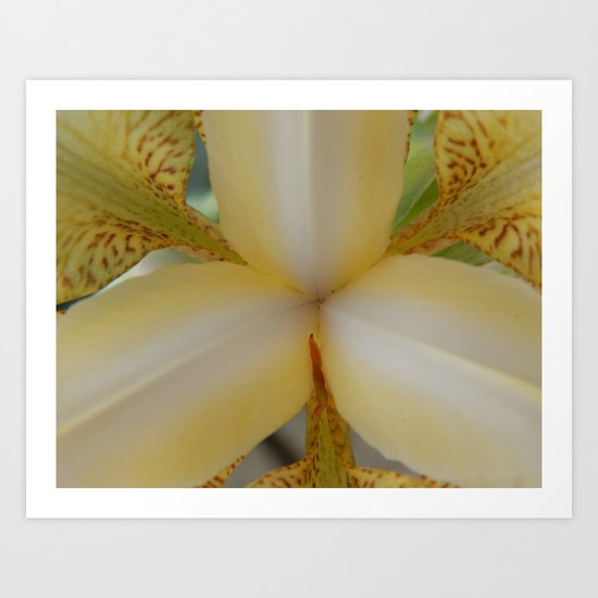Flower Art Print