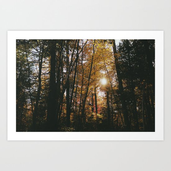 Pine Park. Art Print