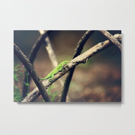 Mischief Maker Metal Print