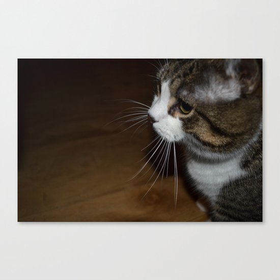 Profile Canvas Print