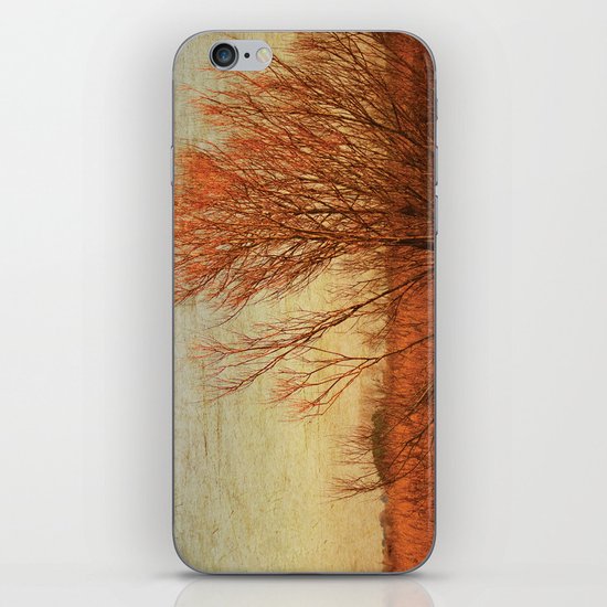 Autumn iPhone & iPod Skin