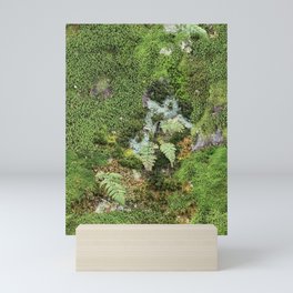 Moss Photograph Mini Art Print