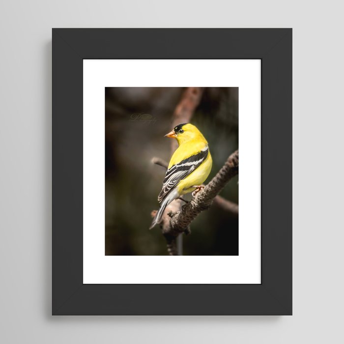 Framed Art Print