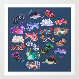 Nudibranch Art Print