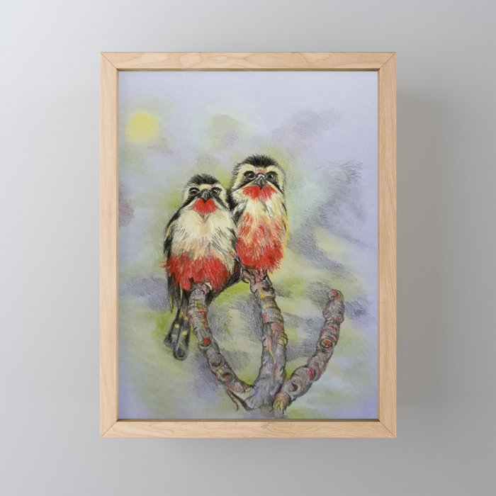 Two collared falconets Framed Mini Art Print