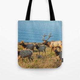 Tule Elk Herd Tote Bag